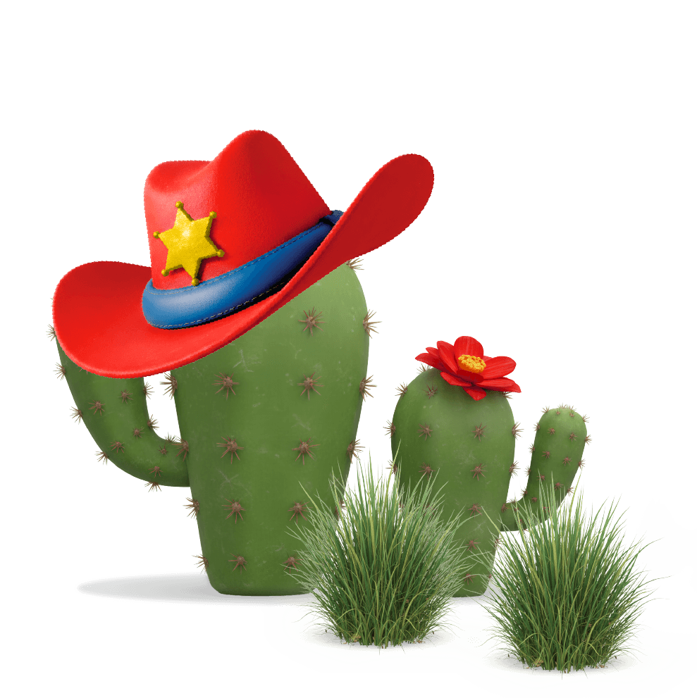 Cactus with cowboy hat